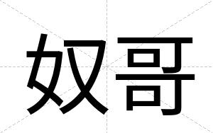 奴哥