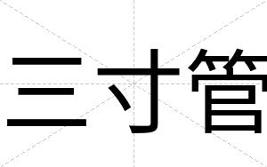 三寸管