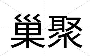 巢聚