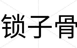 锁子骨