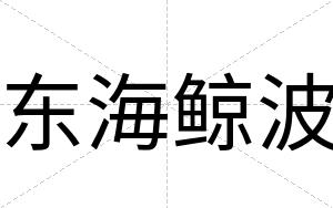 东海鲸波