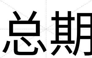 总期