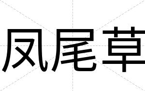 凤尾草