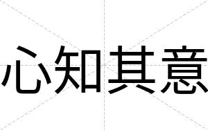 心知其意