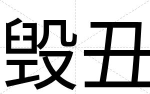 毁丑