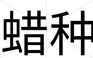 蜡种