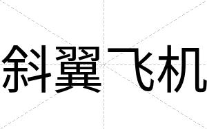 斜翼飞机