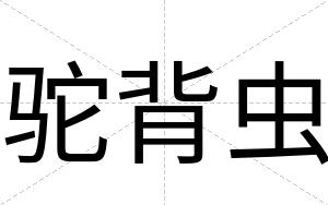 驼背虫