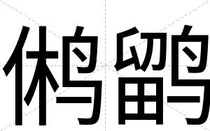 鸺鹠
