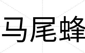 马尾蜂
