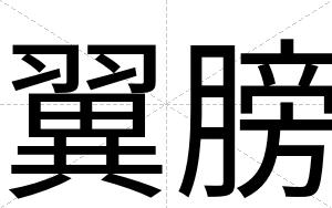 翼膀