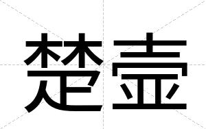 楚壸