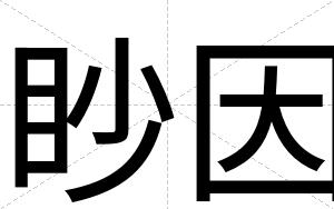 眇因