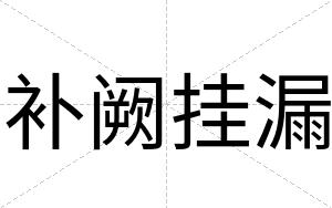 补阙挂漏