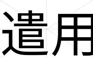 遣用