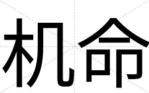 机命