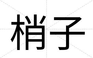 梢子