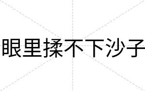 眼里揉不下沙子
