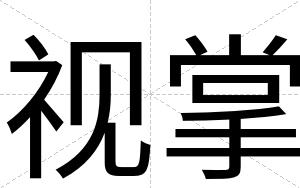视掌