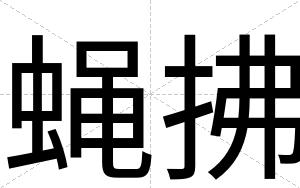 蝇拂
