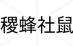 稷蜂社鼠
