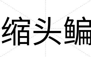 缩头鳊