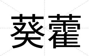 葵藿
