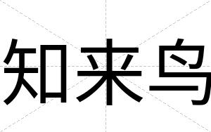 知来鸟
