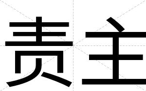 责主