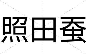 照田蚕