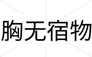 胸无宿物