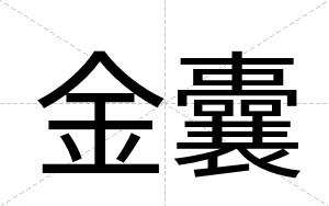 金囊