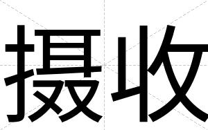 摄收
