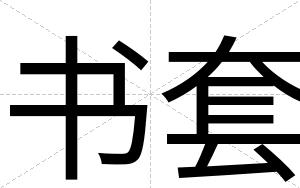 书套