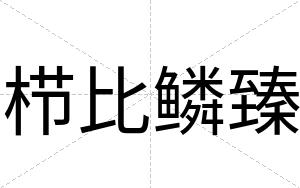 栉比鳞臻