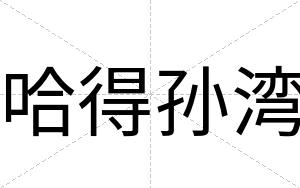 哈得孙湾