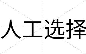 人工选择