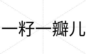 一籽一瓣儿