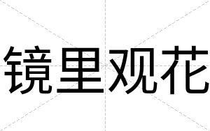 镜里观花