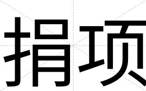 捐项