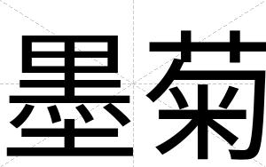 墨菊