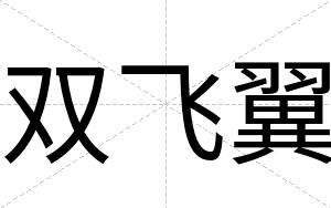 双飞翼