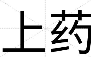 上药