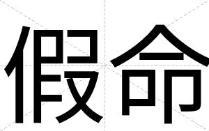 假命