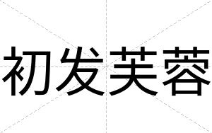 初发芙蓉