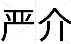 严介