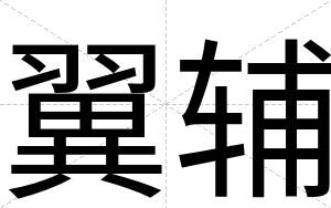 翼辅