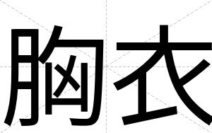 胸衣