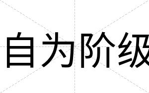 自为阶级