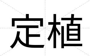 定植